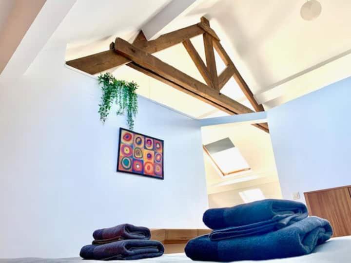 Apartment Cozy In *